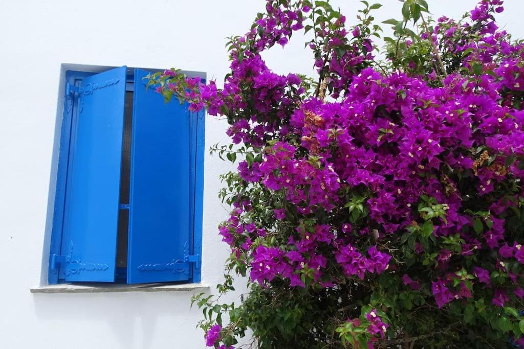 το σπίτι του παππού Apartment *